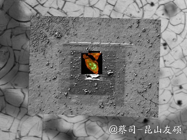 阿拉尔阿拉尔蔡司阿拉尔扫描电镜