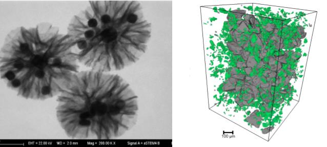 阿拉尔阿拉尔蔡司阿拉尔扫描电镜